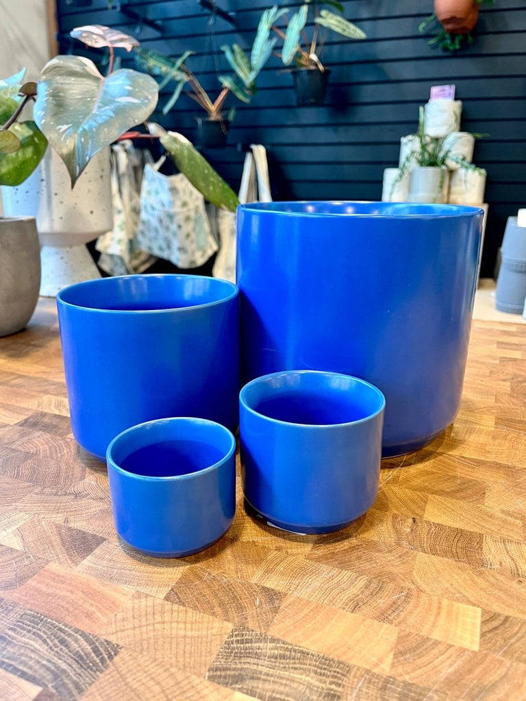 Glazed Ceramic Mini Planter Pot 3.25 Inch - Ed's Plant Shop