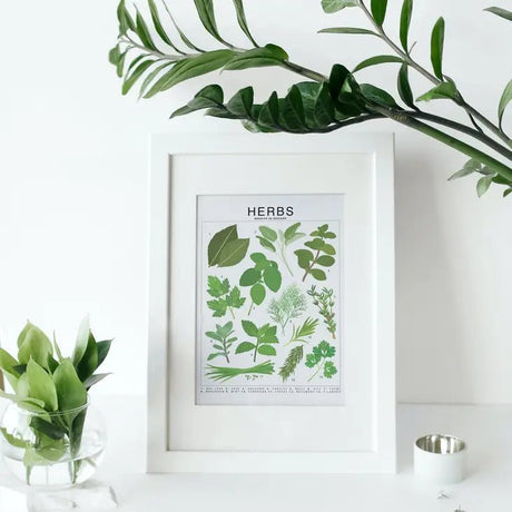 Herbs Species ID Chart - Botanical Garden Art Print - Ed's Plant Shop