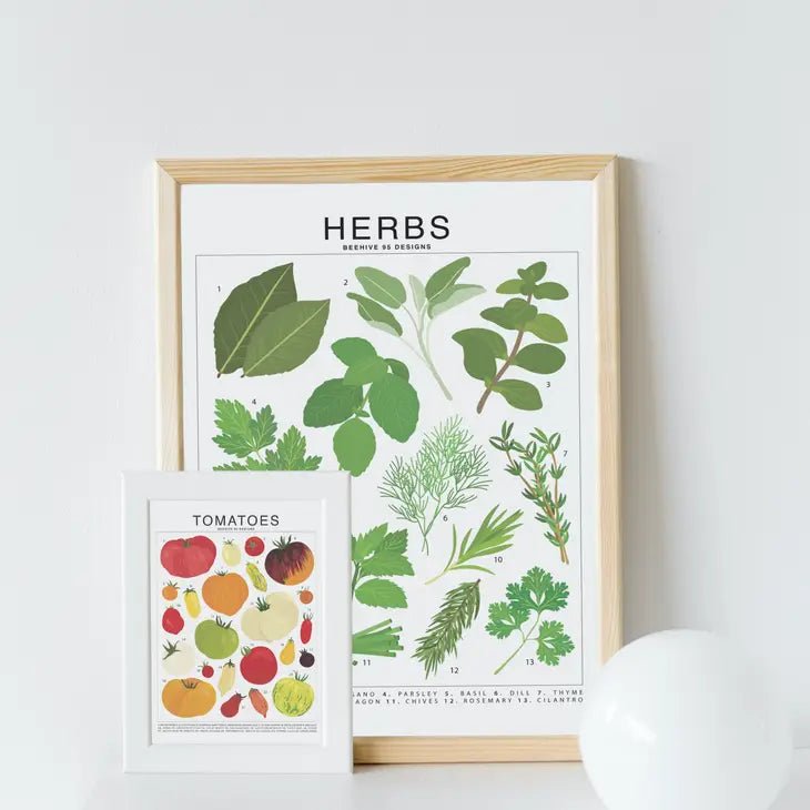 Herbs Species ID Chart - Botanical Garden Art Print - Ed's Plant Shop