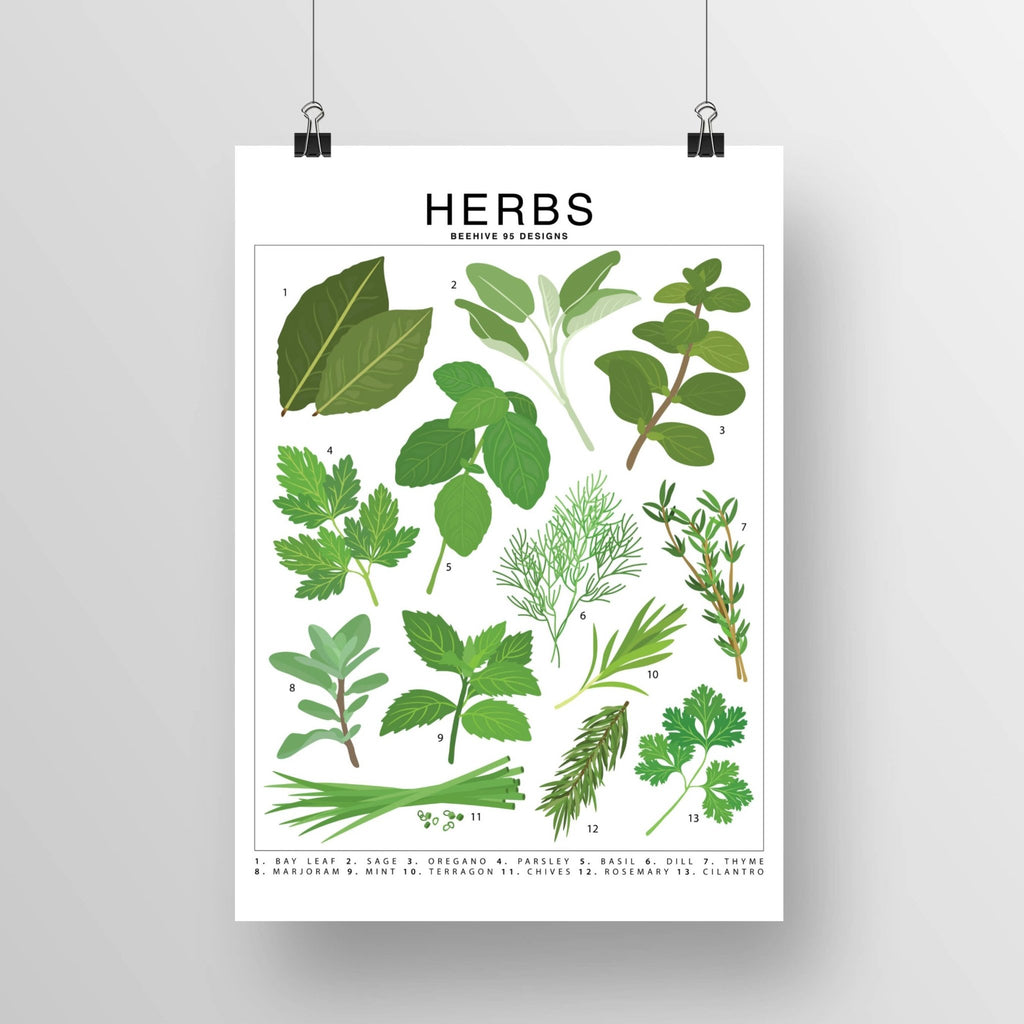 Herbs Species ID Chart - Botanical Garden Art Print - Ed's Plant Shop