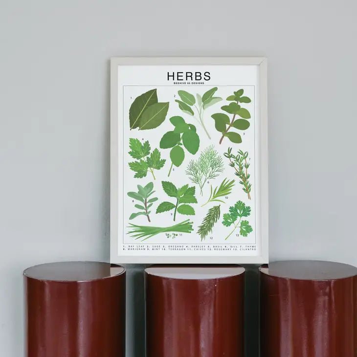 Herbs Species ID Chart - Botanical Garden Art Print - Ed's Plant Shop