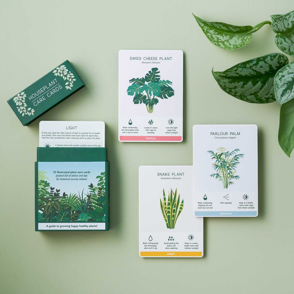 Houseplant Care Cards, botanical tips & advice - Ed's Plant Shop