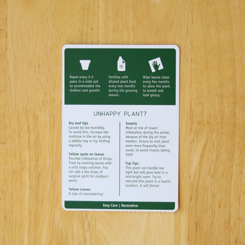 Houseplant Care Cards, botanical tips & advice - Ed's Plant Shop