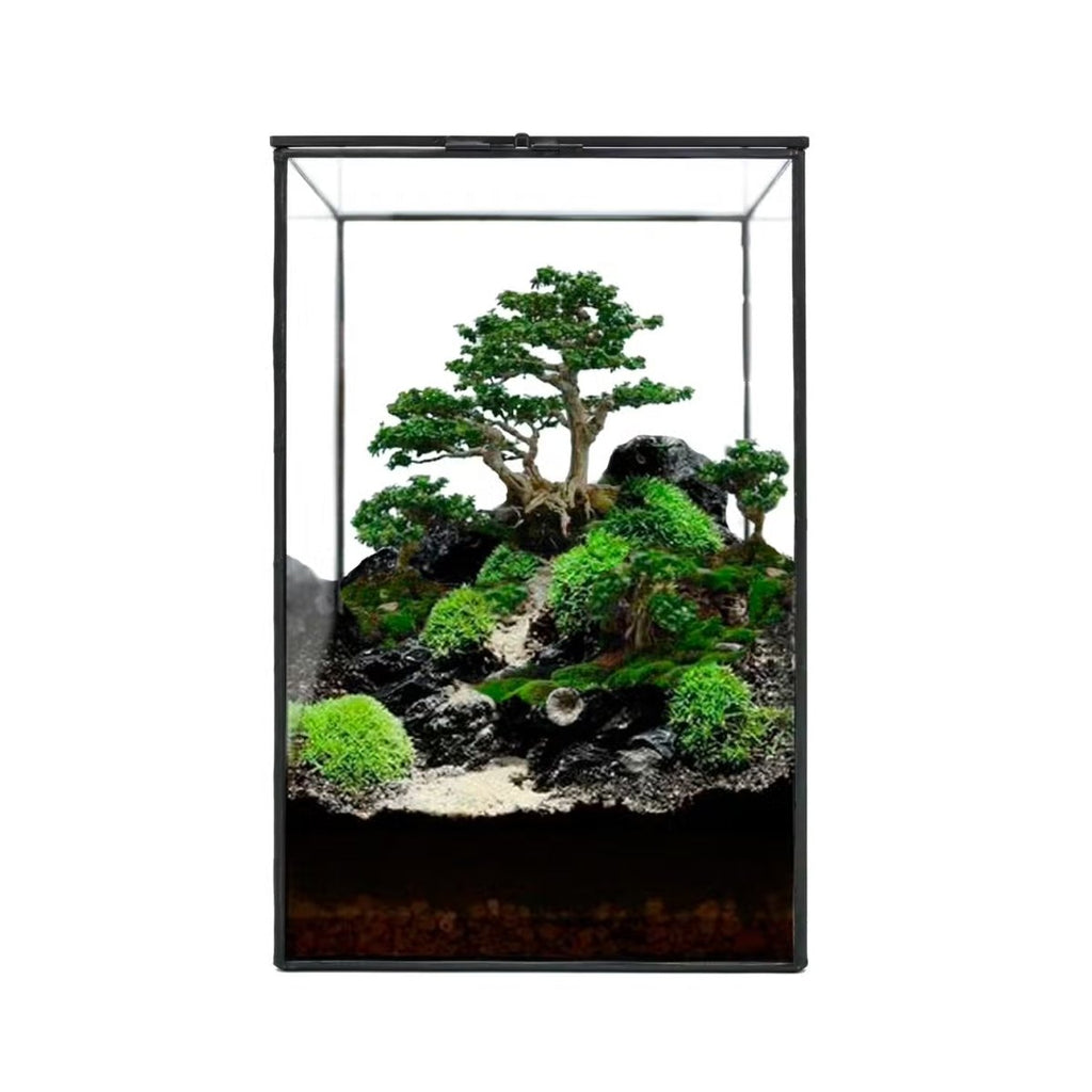 Indoor Plant/Little Forest Glass Vessel Container For Plants - Ed's Plant Shop