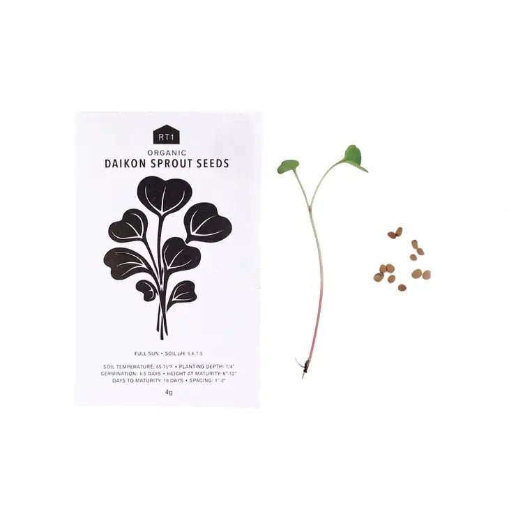 Japanese Herb Seeds - Pack of 5 - Ed's Plant Shop