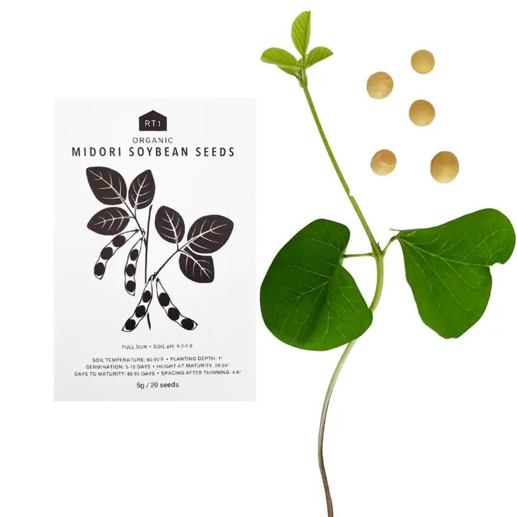 Japanese Spring Veg Seeds - Pack of 5 - Ed's Plant Shop