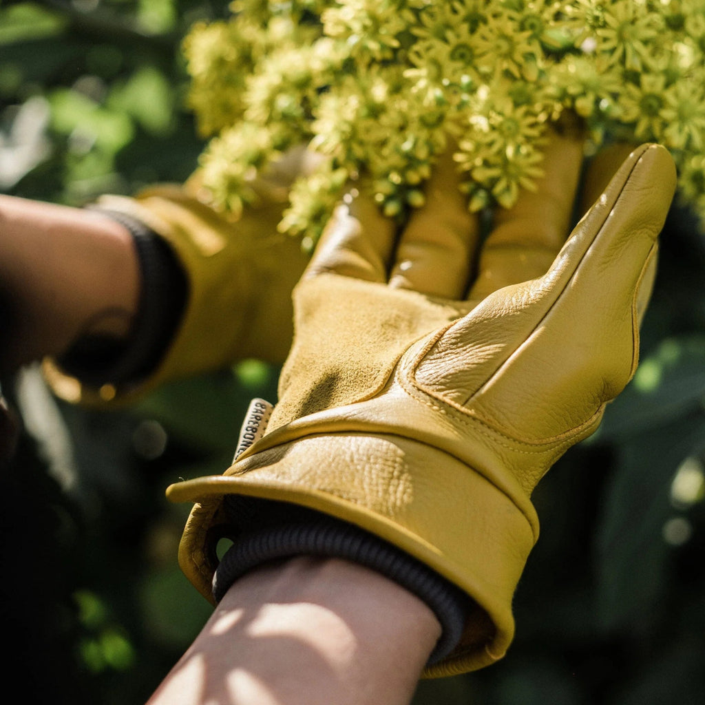 Kunar Suede Utility Garden Glove: Natural/Yellow - Ed's Plant Shop