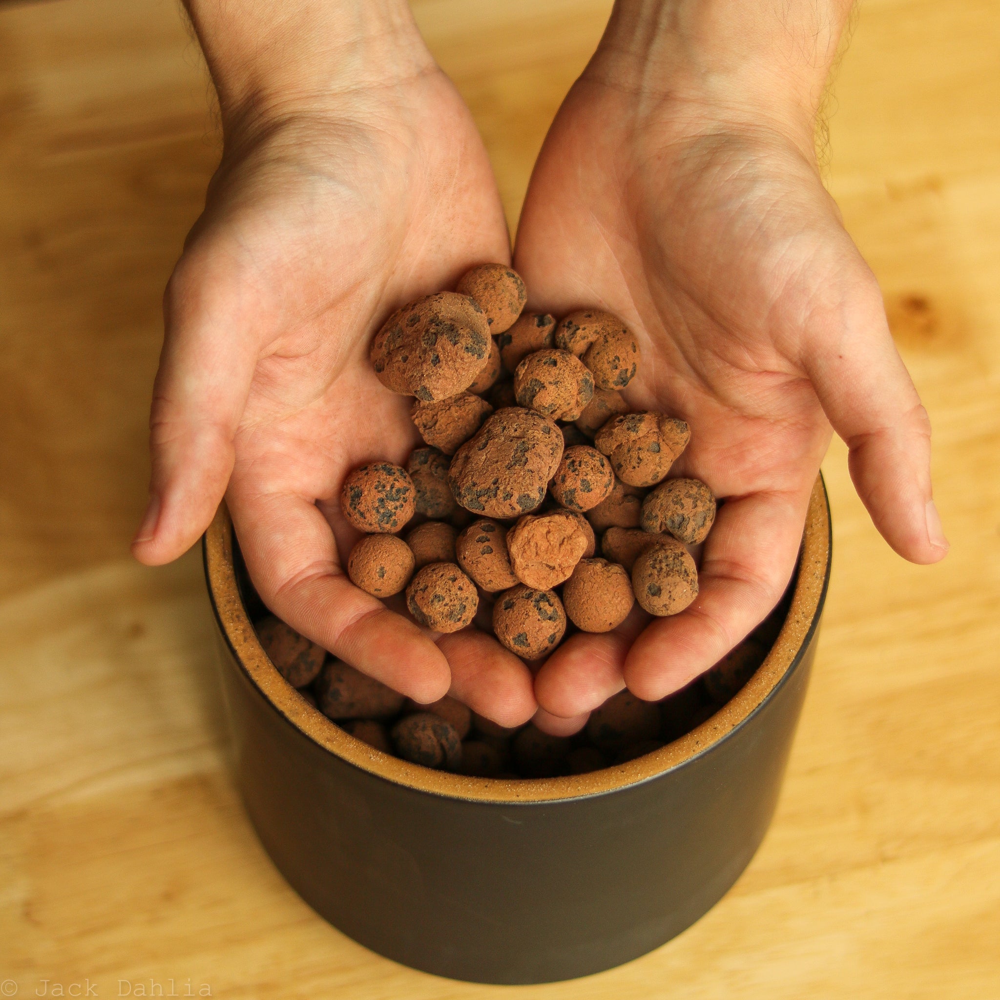 Stock Your Home 5Lbs LECA Balls Expanded Clay India