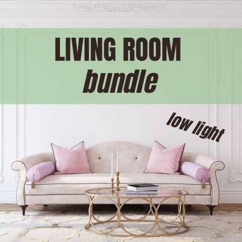 Living Room Plant Bundle - For Low Light - Ed's Plant Shop