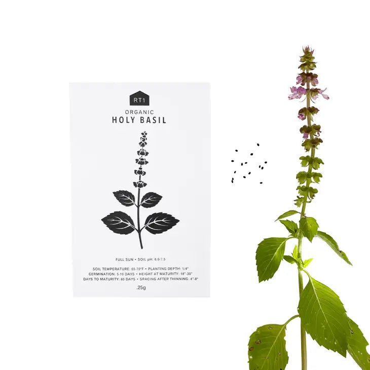Medicinal Herb Seeds - Pack of 5 - Ed's Plant Shop