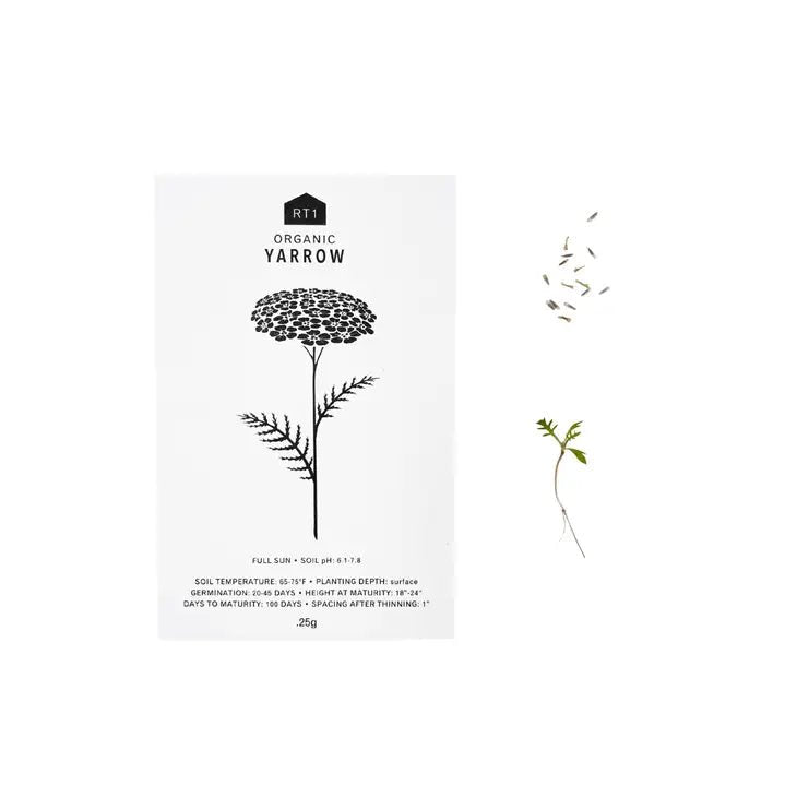 Medicinal Herb Seeds - Pack of 5 - Ed's Plant Shop