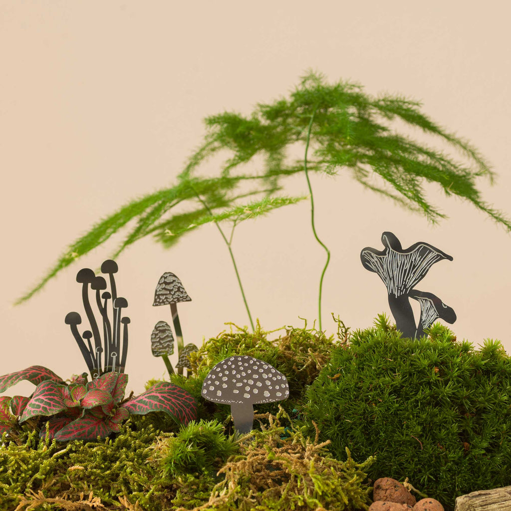 Mini Mushroom, Terrarium Decor - Steel - Ed's Plant Shop