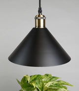 Modern Pendant and Socket- Brass - Ed's Plant Shop