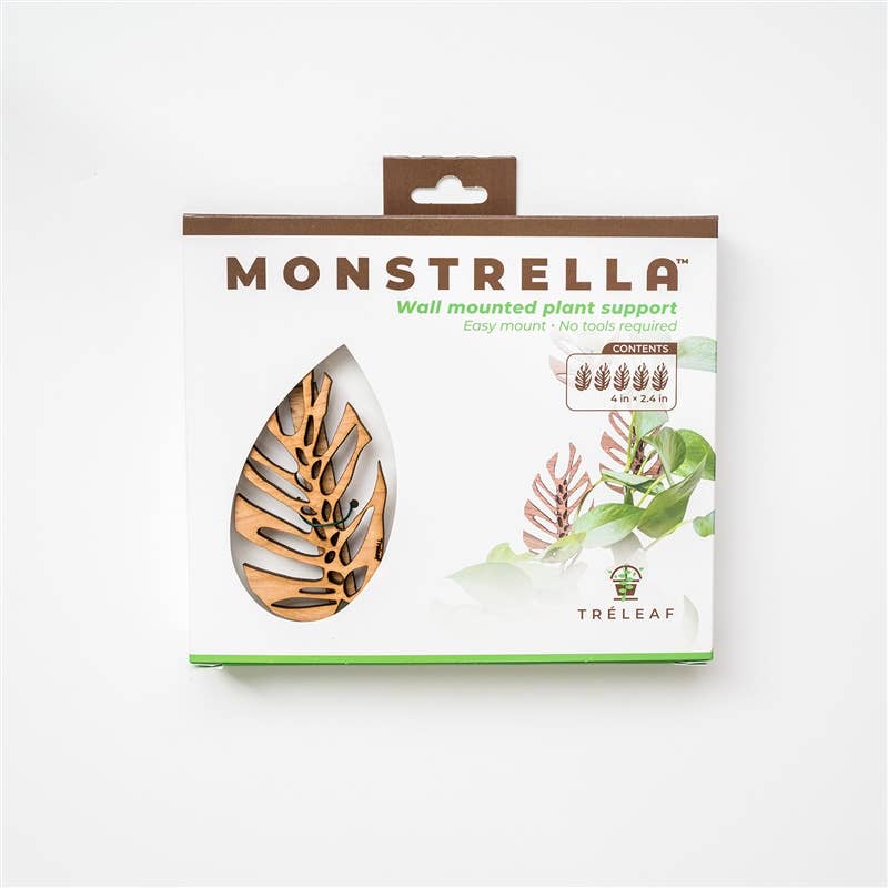 Monstera Wall Mounted Trellis - Plant Wall Clips - Ed's Plant Shop