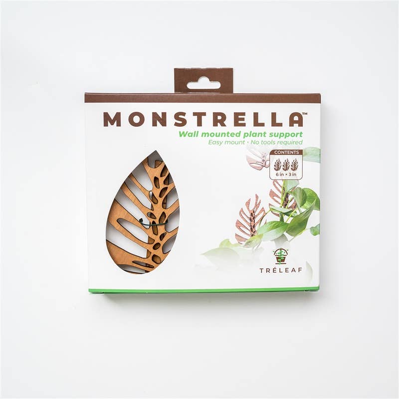 Monstera Wall Mounted Trellis - Plant Wall Clips - Ed's Plant Shop