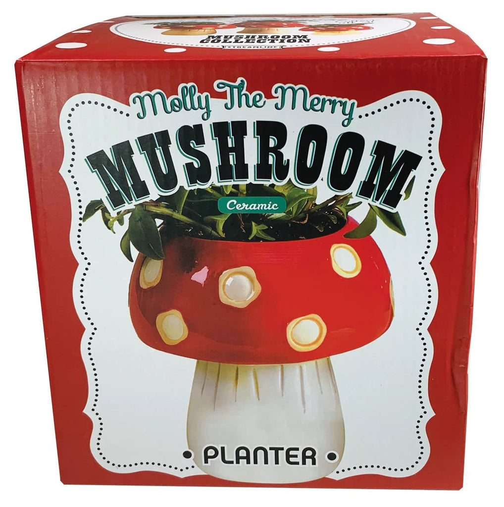 Whimsical Red Mushroom Planter For Plants