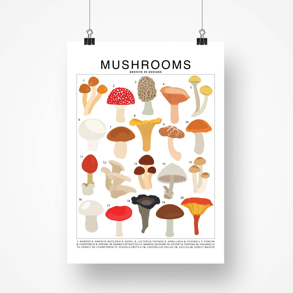 Mushrooms Species ID Chart - Botanical Fungi Art Print - Ed's Plant Shop