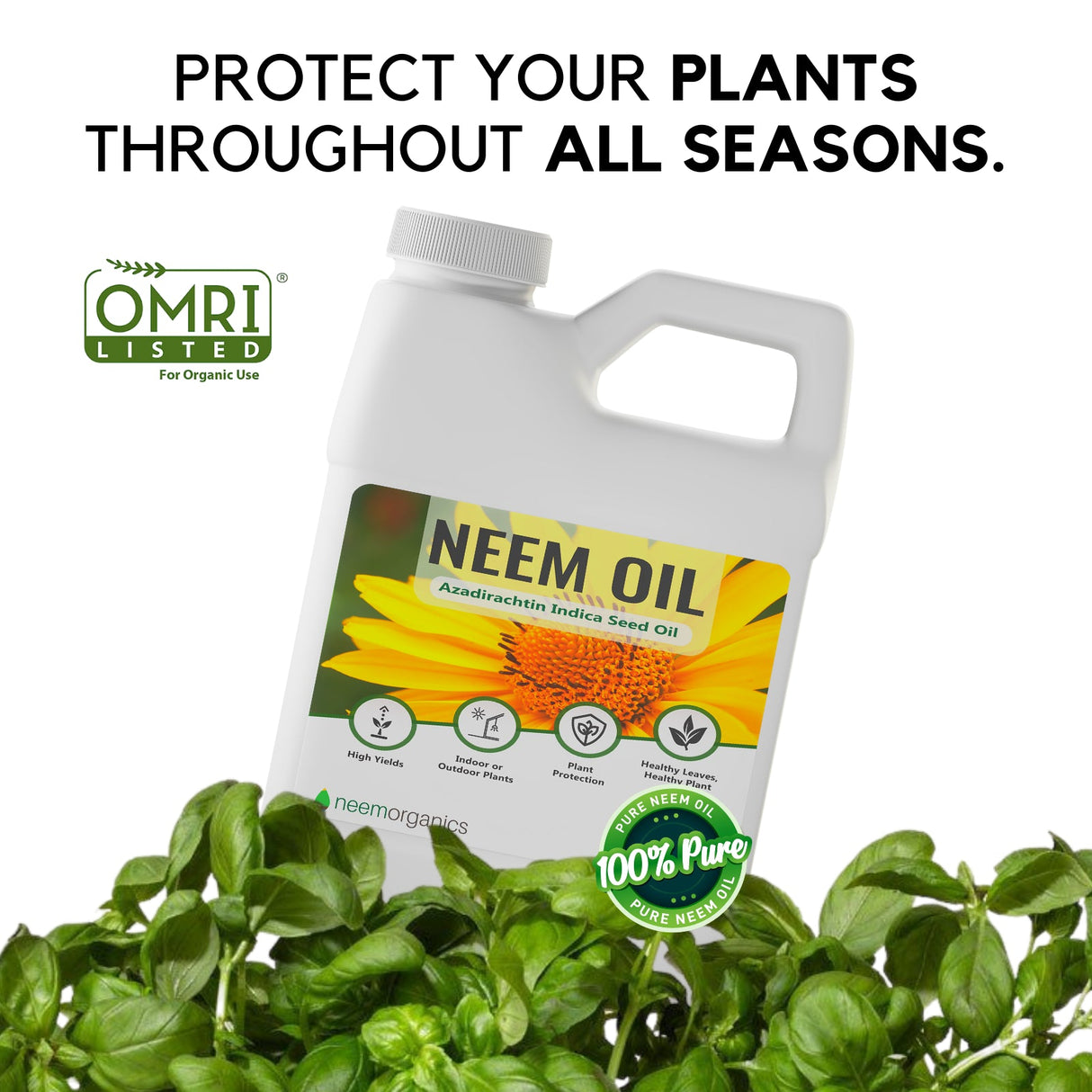 Neem Oil 16oz - Ed's Plant Shop