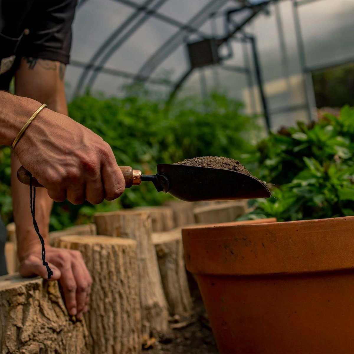 Oversized Garden Scoop with Walnut Handle - Ed's Plant Shop