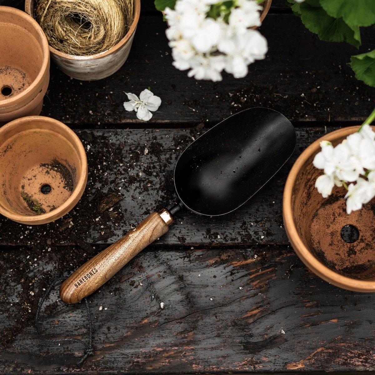 Oversized Garden Scoop with Walnut Handle - Ed's Plant Shop