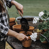 Oversized Garden Scoop with Walnut Handle - Ed's Plant Shop