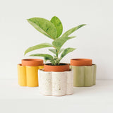 Paula Self Watering Planter Pot - Mustard Yellow - Ed's Plant Shop