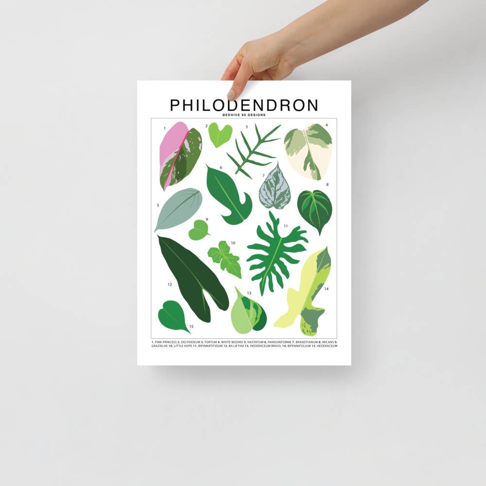 Philodendron Species ID Chart Botanical Houseplant Art Print - Ed's Plant Shop