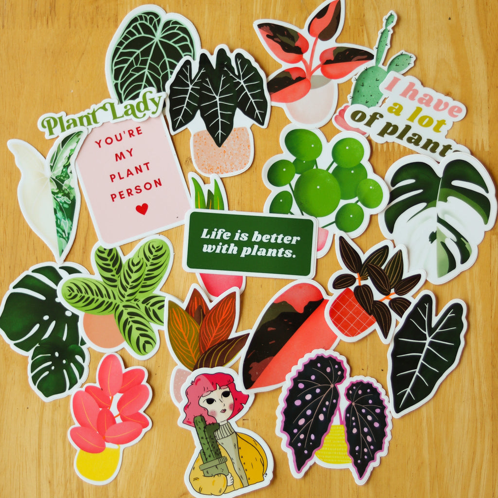Pink Plant Lady Sticker - Ed's Plant Shop