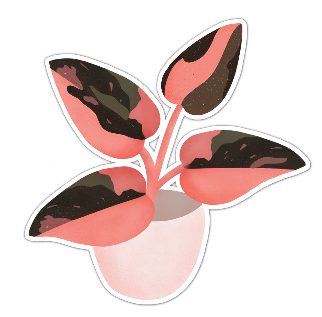 Pink Princess Philodendron Plant Sticker - Ed's Plant Shop