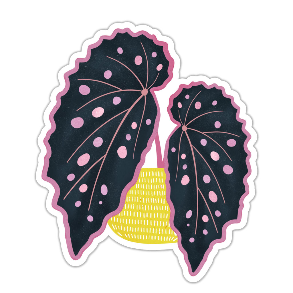 Pink Spotted Begonia Sticker - Ed's Plant Shop