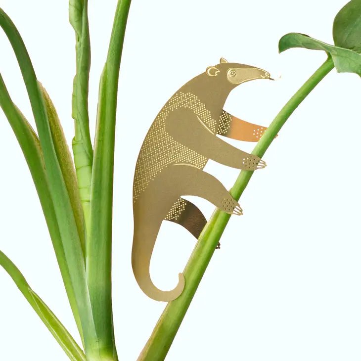 Cute Anteater Plant Animal