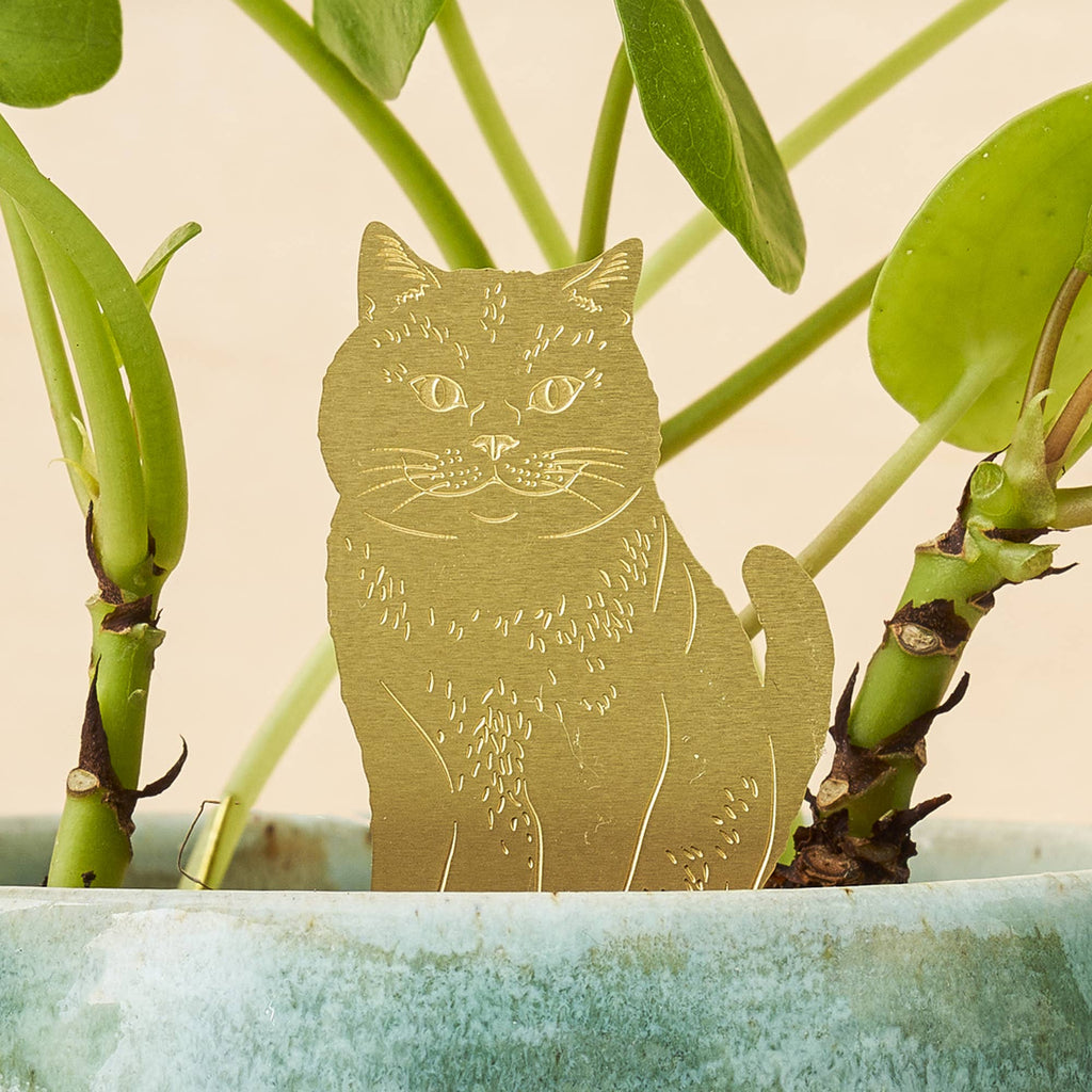 Cute Cat Decoration For Plants - Ed's Plant Shop