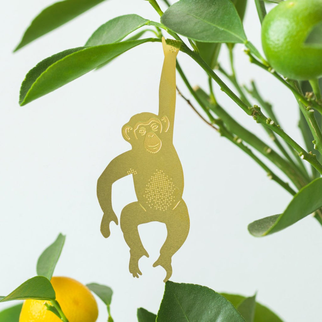 Chimpanzee Decoration For Plant