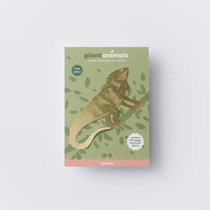 Plant Animal Iguana, large edition - Plant decor - Ed's Plant Shop