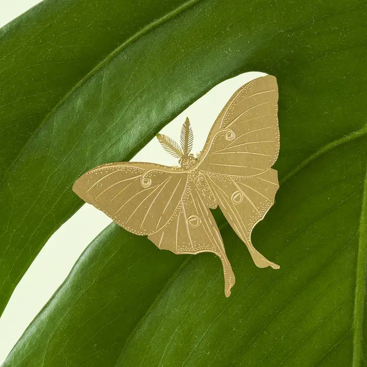 Luna Moth Plant Decoration