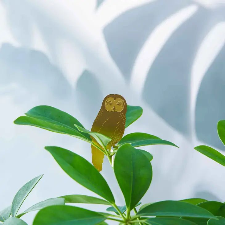 Cute Owl Decoration For Plants - Ed's Plant Shop