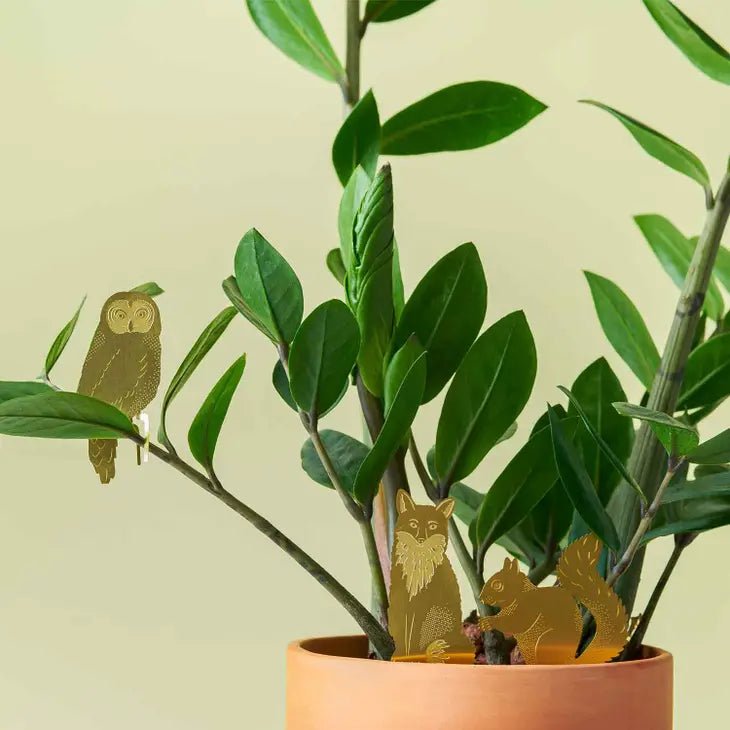 Cute Owl Decoration For Plants - Ed's Plant Shop