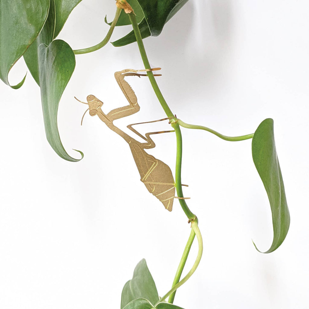 Plant Animal - Praying Mantis, insect decoration - Ed's Plant Shop