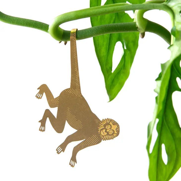 Spider Monkey Decoration For Plants - Ed's Plant Shop