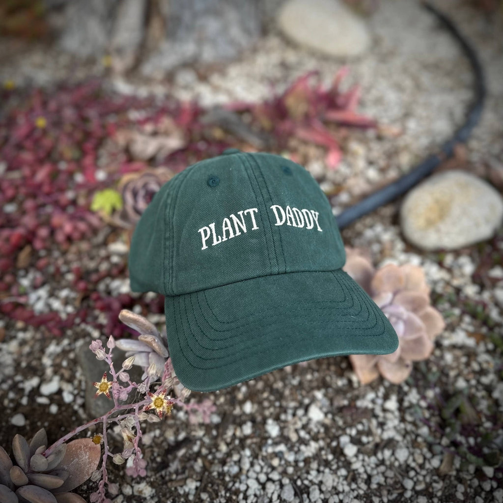 Plant Daddy Baseball Hat - Ed's Plant Shop