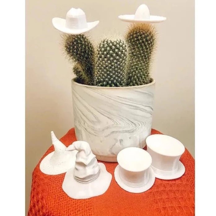 Small Hats To Put On Plants - Ed's Plant Shop