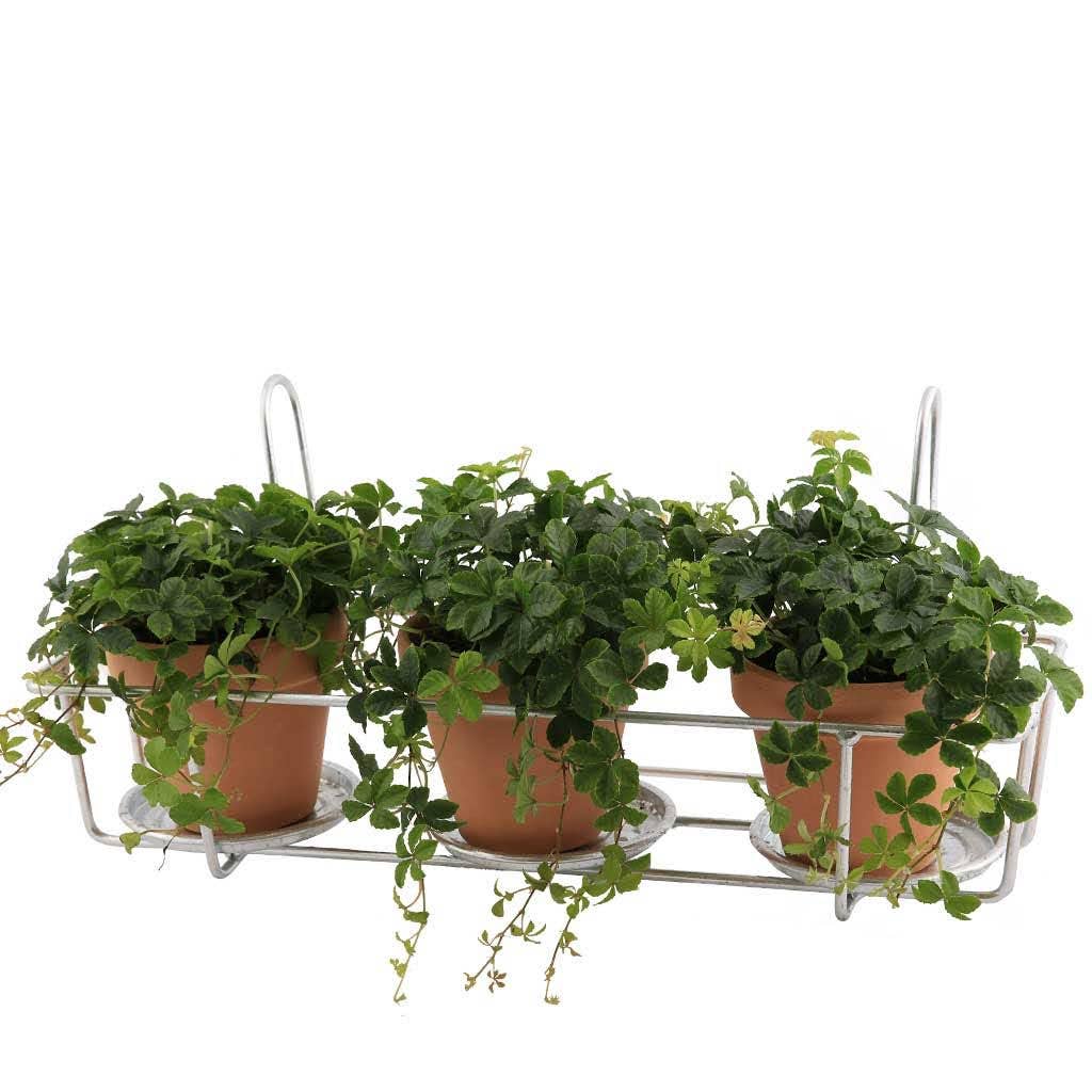 Pot Holder For Balcony - Three Pot - Ed's Plant Shop