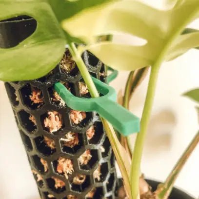 Plant Propagation Pins – Maddwoods