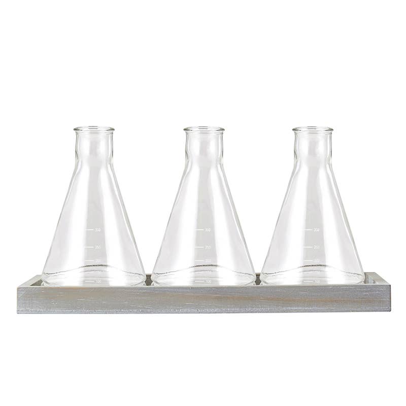 Propagation Station- Glass Beaker Vase Trio Set - Ed's Plant Shop