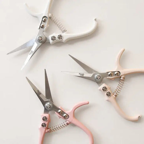 Pruning Shears For houseplants - Ed's Plant Shop