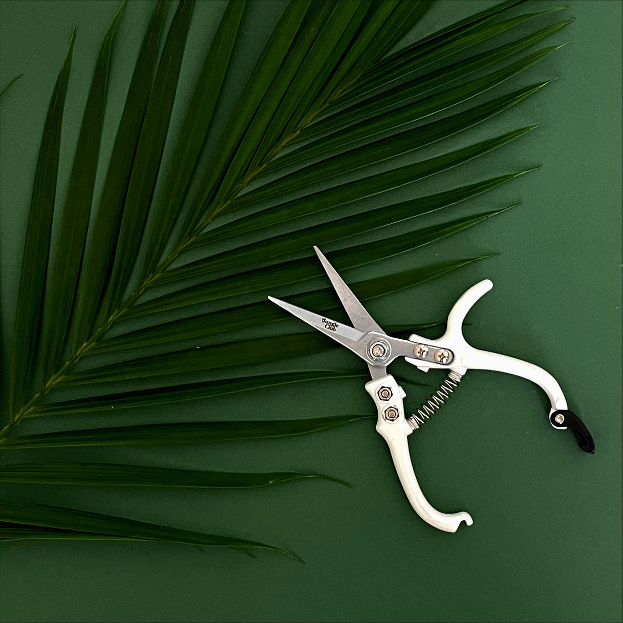 Pruning Shears For houseplants - Ed's Plant Shop