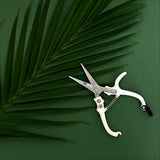 Pruning Shears For houseplants - Ed's Plant Shop