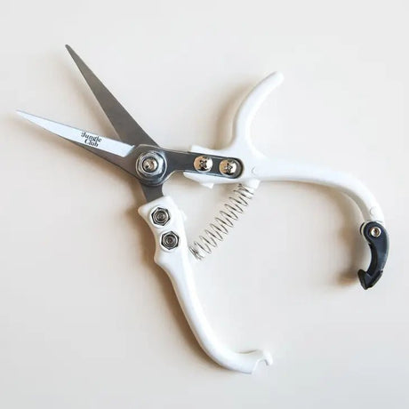 Pruning Shears For houseplants - Ed's Plant Shop