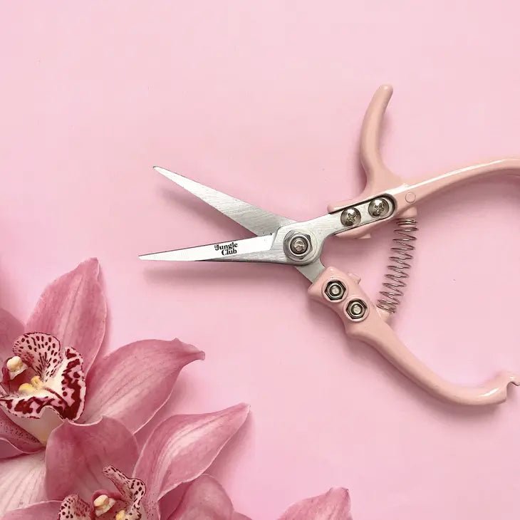 Pruning Shears For houseplants - Ed's Plant Shop