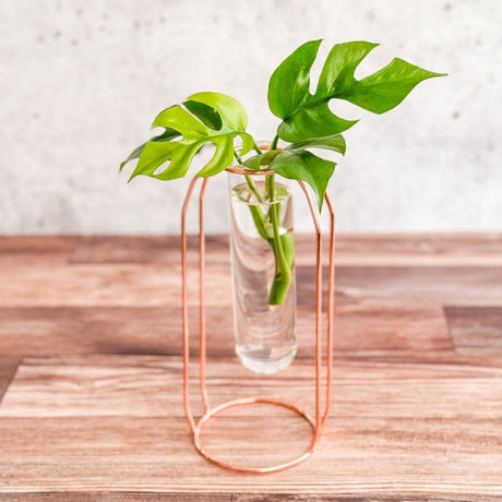 Rose Gold Propagation Station & Vase - Ed's Plant Shop